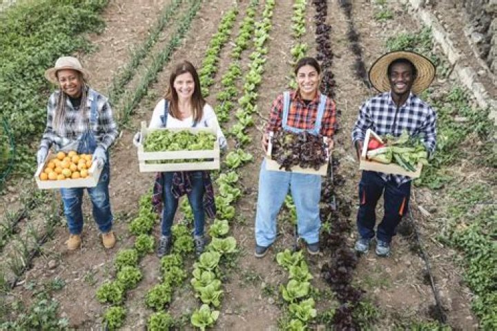 Are farmers in high demand?