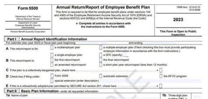 Are Form 5500 filings public information?