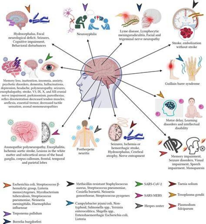 Are injuries that cause brain damage permanent?