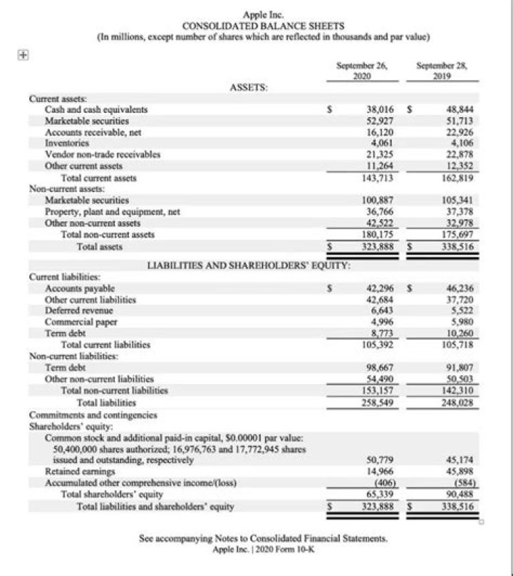 Are shareholder distributions considered payroll?