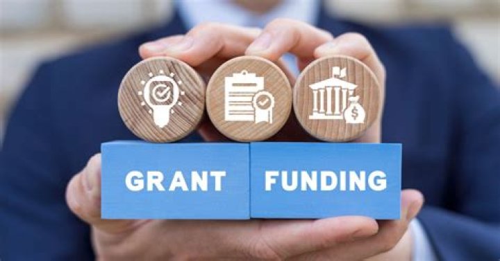 Are there any grants or loans from the government?