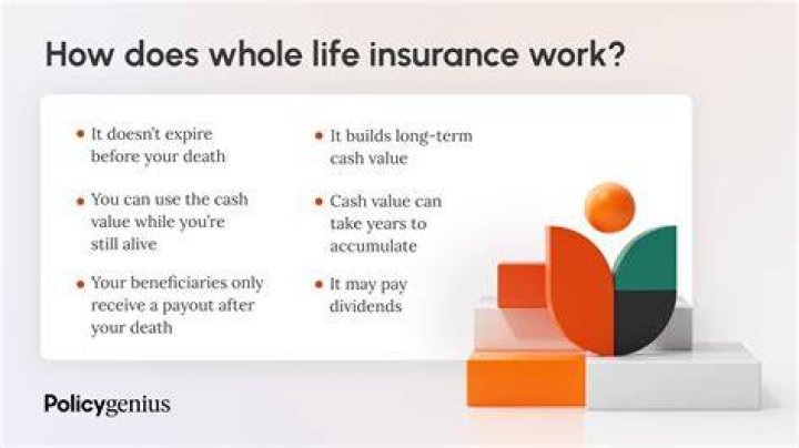Are whole life policies more expensive?