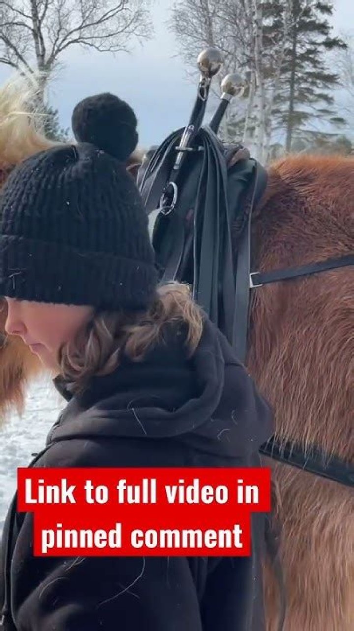 Can a 14 year old work with horses?