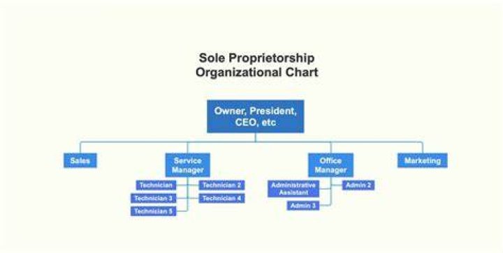 Can a company be a sole director?