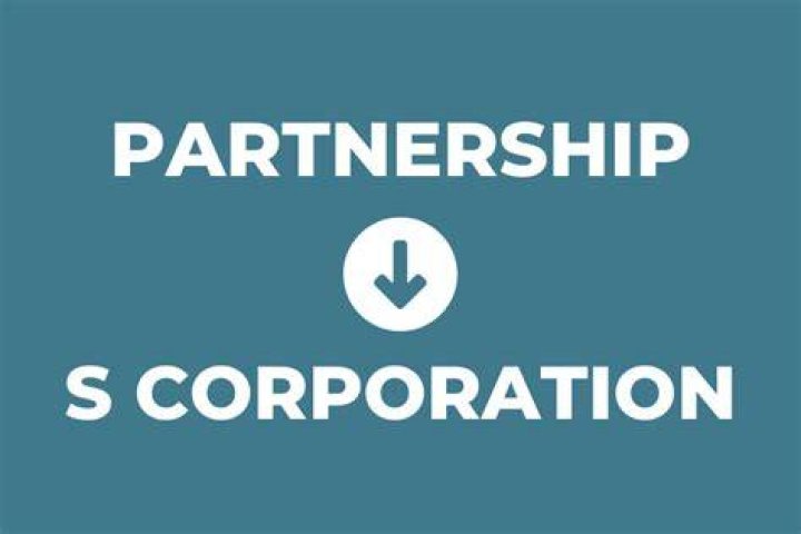 Can a limited partner own A S corporation?
