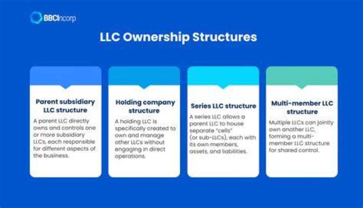 Can a partnership own another LLC?