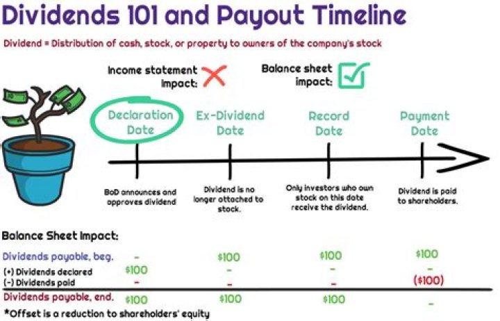 Can a private company declares dividend?