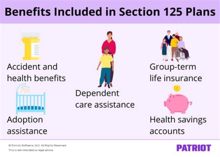 Can a section 125 plan offer a health savings account?