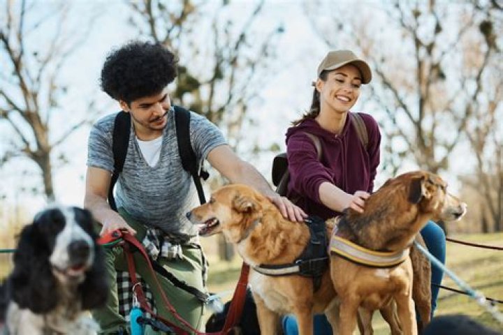 Can a ten year old have a dog walking business?