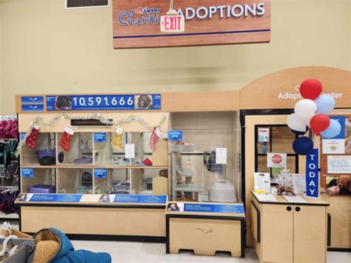Can an 11 year old volunteer at Petsmart?