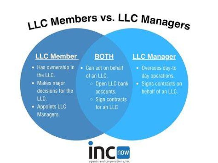 Can an LLC have a shareholder?