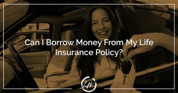 Can I borrow money from my 1Life policy?