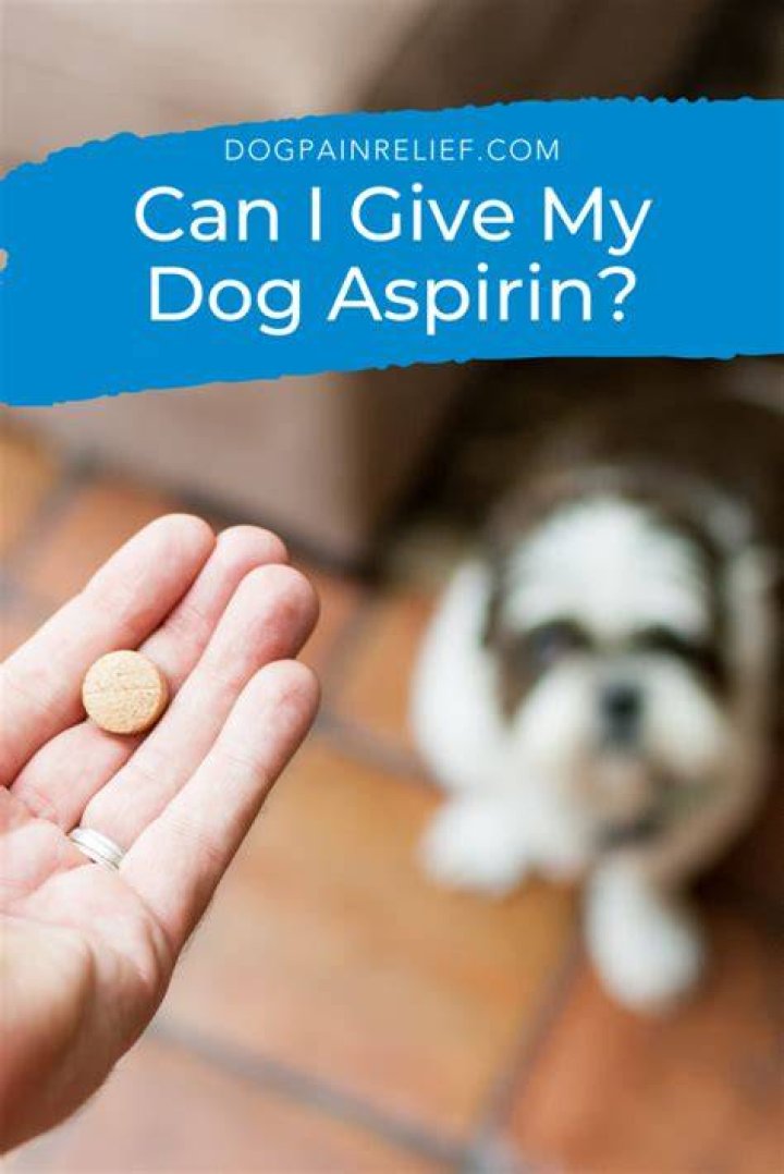 Can I give my assets away?