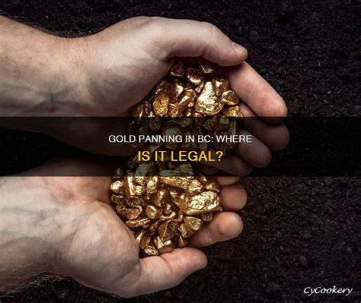 Can I gold pan anywhere in BC?
