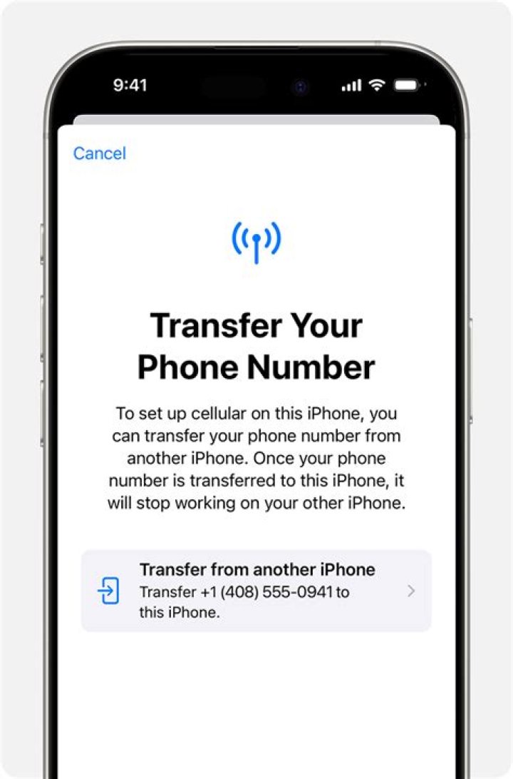 Can I send ringtones to another phone?