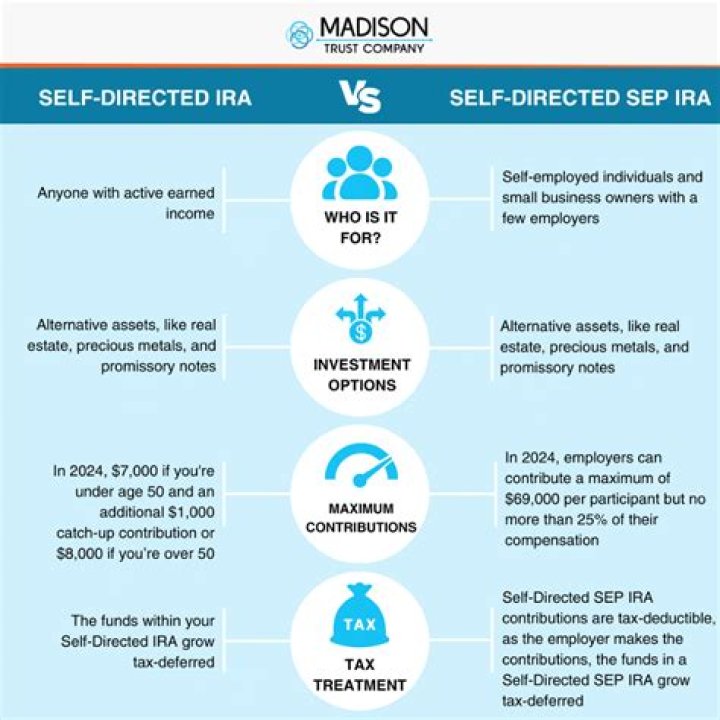 Can my self directed IRA own a business?
