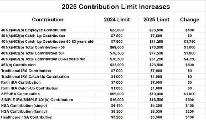 Can owners participate in 401k plan?