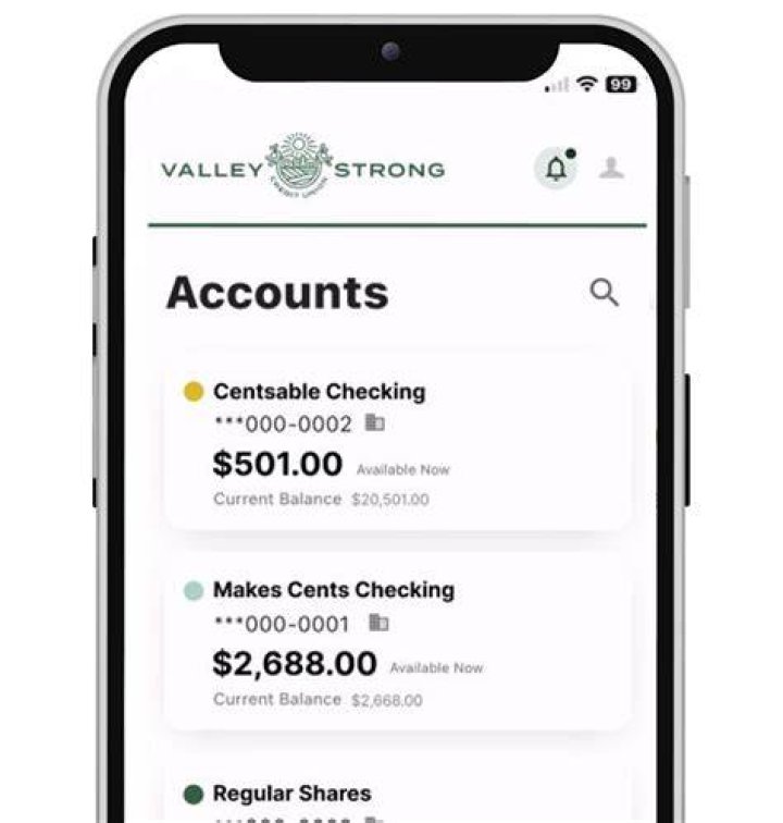 Can you check credit union balance online?