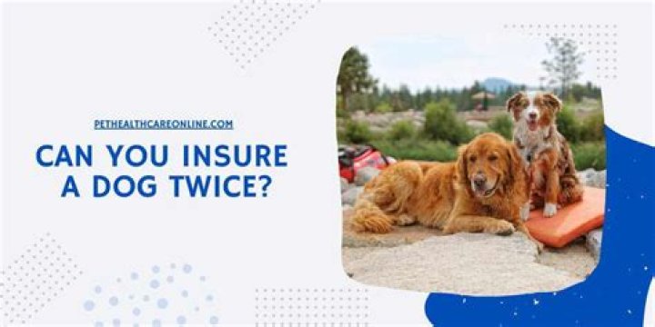 Can you insure a working dog?