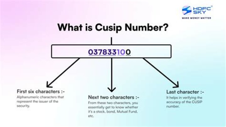 Can you look up a CUSIP number?