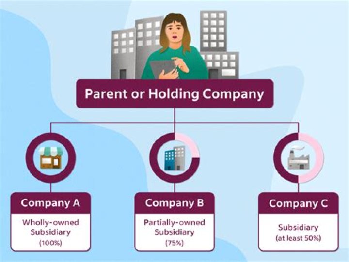 Can you own a company but not be the CEO?