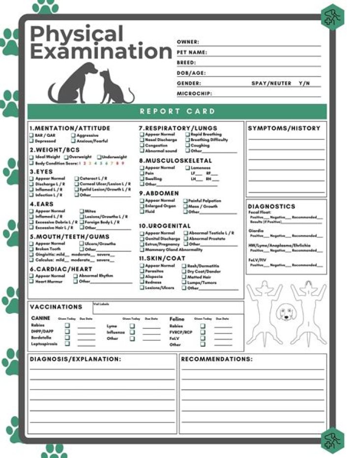 Can you own a vet clinic without being a vet?