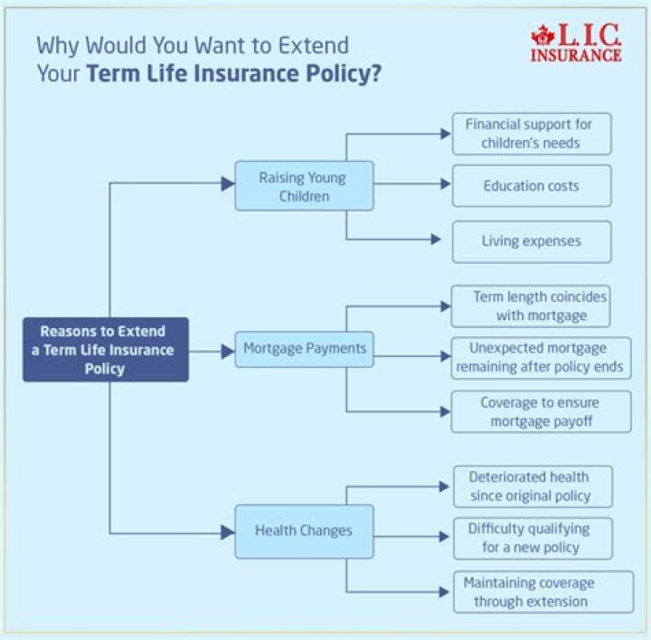 Can you take out a loan against a term life insurance policy?