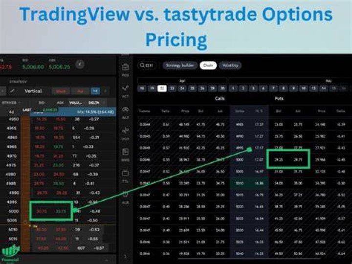 Can you trade options in a 401k?