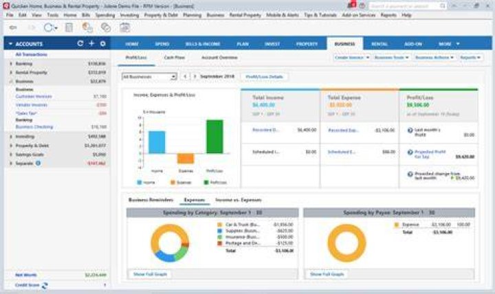 Can you use Quicken for business?