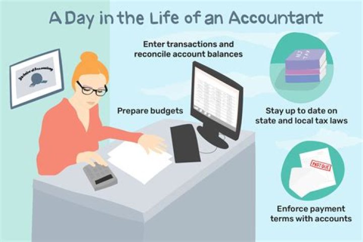 Do accountants work with the public?