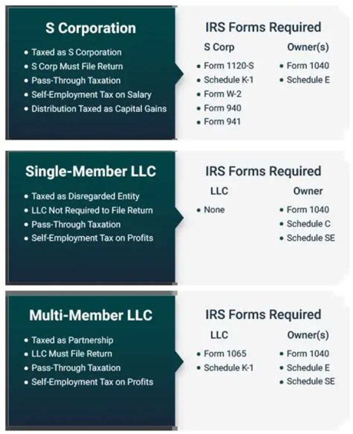 Do all owners of an S Corp need to take a salary?