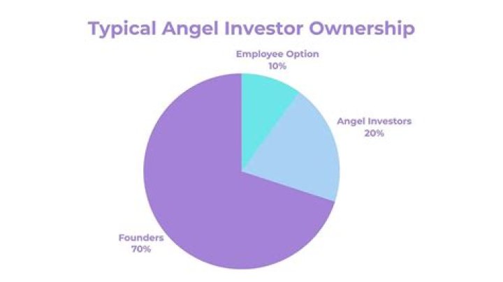 Do angel investors have ownership?