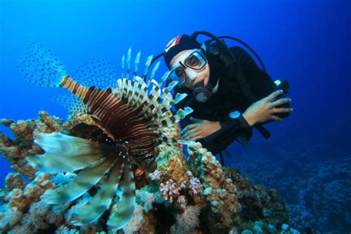 Do marine biologists get to work with animals?