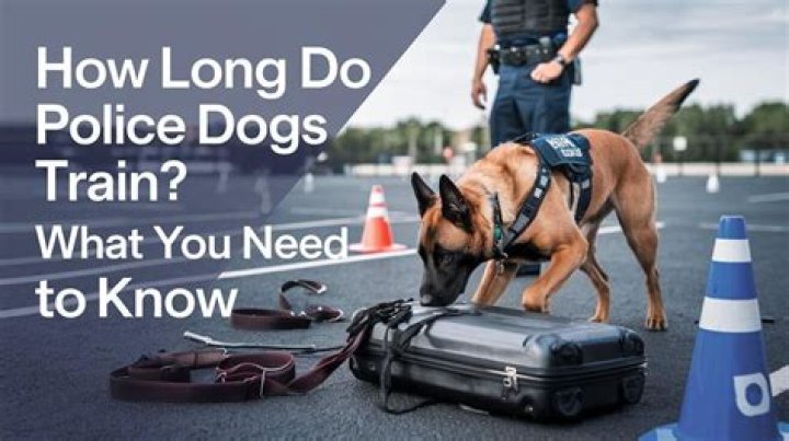 Do police officers buy their own dogs?