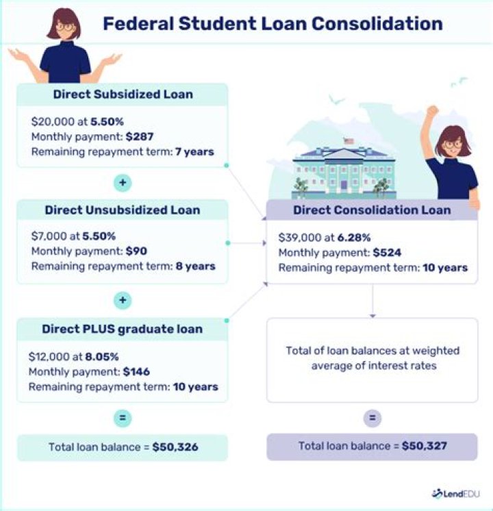 Do private student loans count as income?