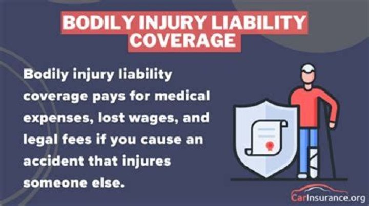 Do professional liability policies cover bodily injury?