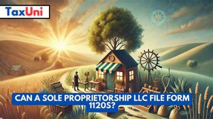 Do sole proprietors file 1120S?