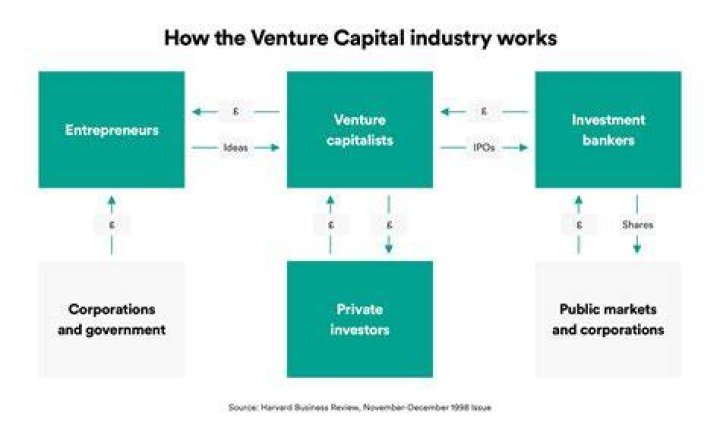 Do venture capitalists own part of the company?