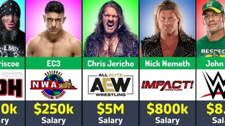 Do wrestlers make good money?
