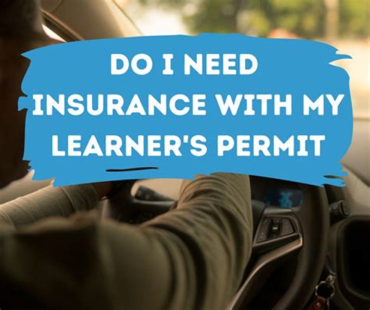 Do you need insurance for occasional drivers?