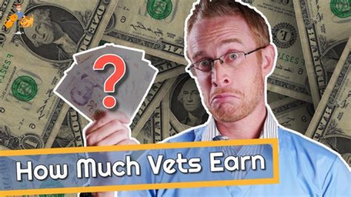 Do Zoo vets make good money?