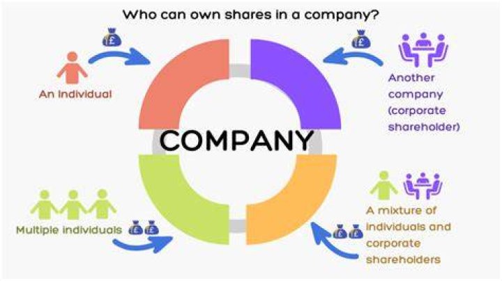 Does a majority shareholder own the company?