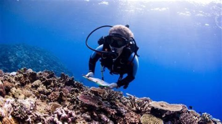 Does a marine biologist have to travel?