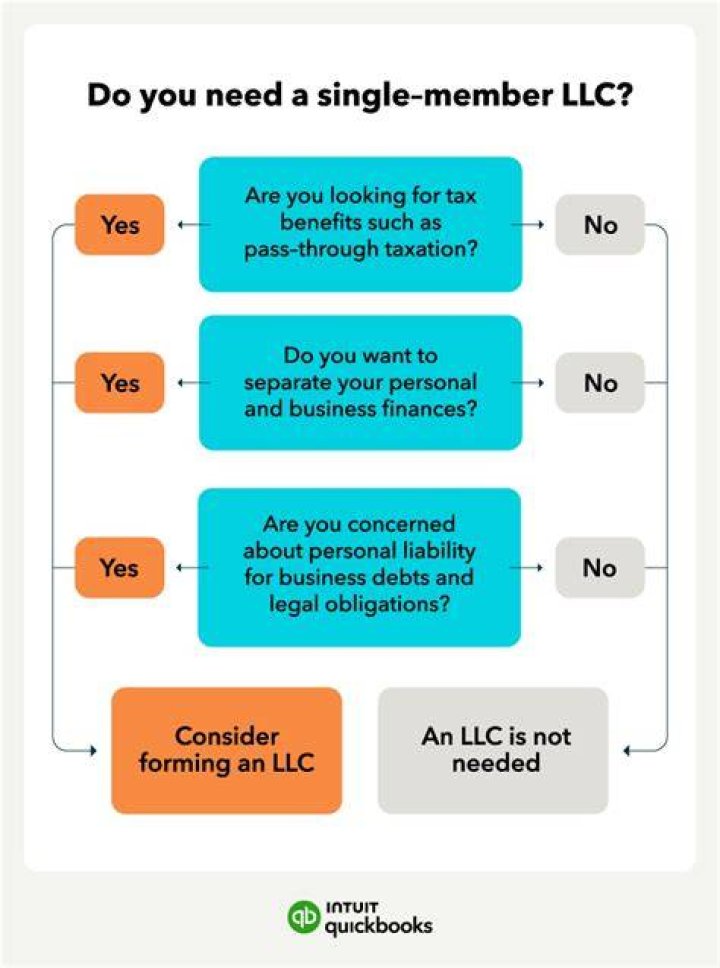 Does a single member LLC need to have an annual meeting?