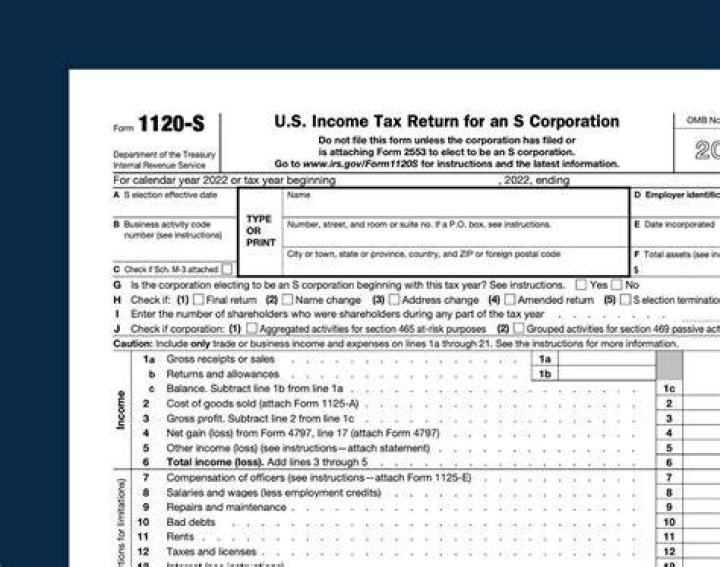 Does an 1120S pay taxes?