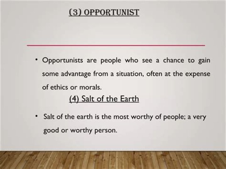 Does an opportunist take chances?