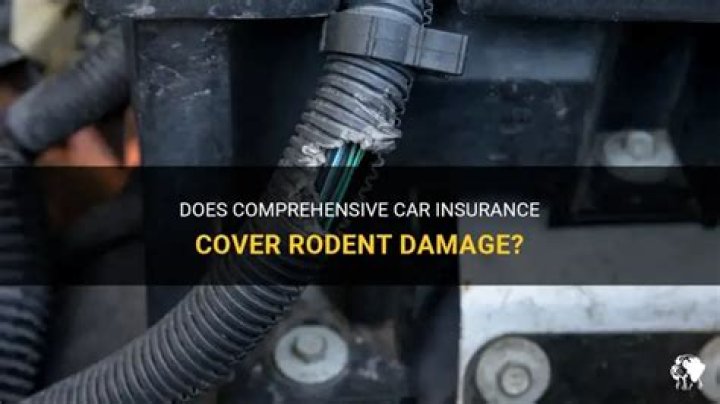 Does comprehensive coverage cover rodent damage?