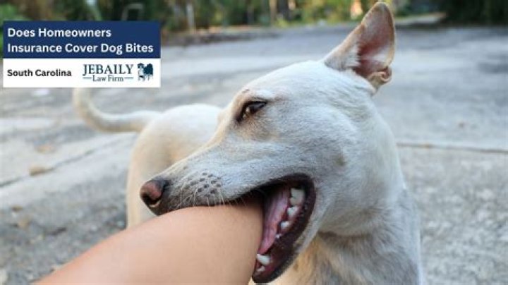 Does homeowners insurance cover dog injury?
