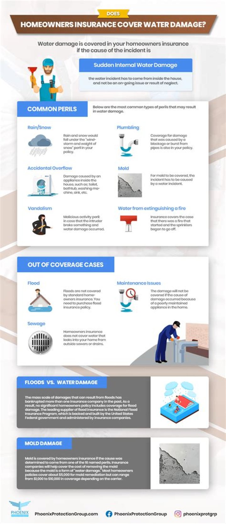 Does homeowners insurance cover water and mold damage?