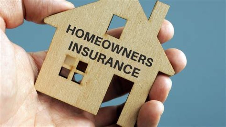 Does homeowners insurance pay for downed trees?